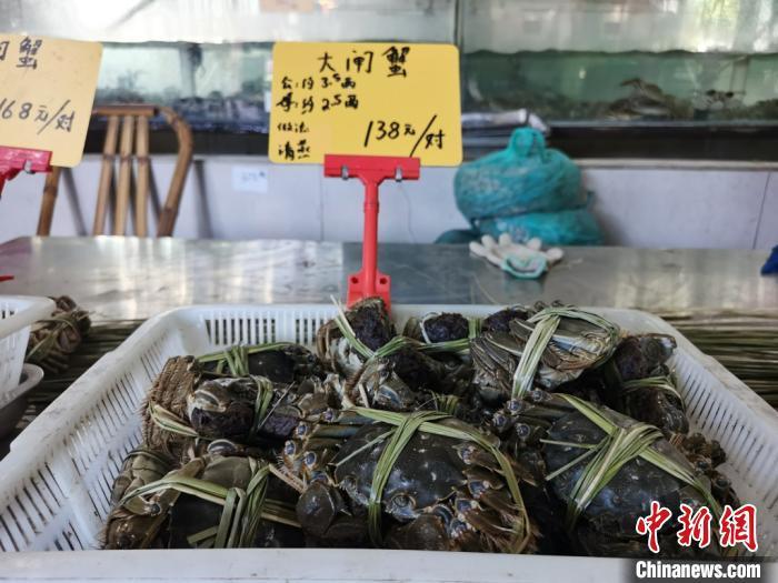 捆扎好的大闸蟹，等待着消费者的购买。　钟升 摄