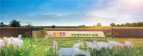 回顾2020，展望2021，红星美羚不忘初心砥砺前行！