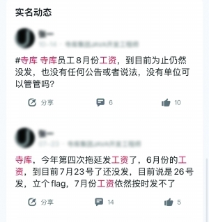 寺库股权冻结 奢侈品电商是个伪命题？