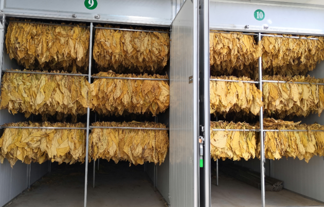 热泵助力碳中和，艾默生谷轮™压缩机持续发力清洁烘干