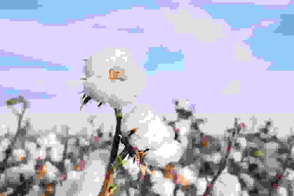 C:\Users\911338\Desktop\双十二\稿件\配图\4.jpg