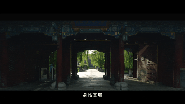 和李雪琴做校友，青团社上线北大兼职岗！