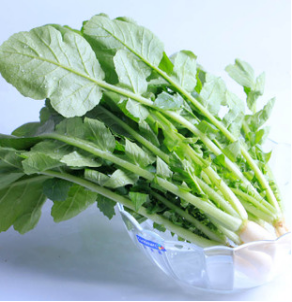 美菜：为万千农民解决卖菜难题