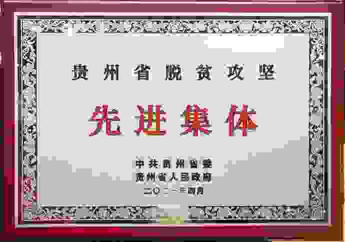 打造乡村振兴新样本 广药集团王老吉刺柠吉为全面推进乡村振兴持续助力