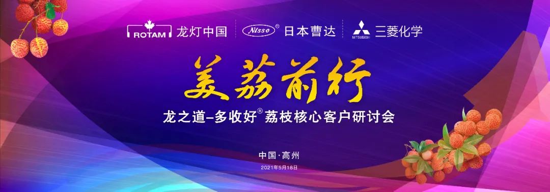 龙灯中国——“美荔前行，龙之道-多收好荔枝核心客户研讨会”成功举行