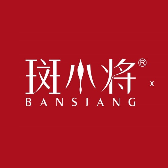 斑小将受邀出席白云区中小企业知识产权保护沙龙暨以法兴企活动