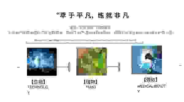 宫态美：引领女性私护产品进入“再生医学干细胞技术时代”