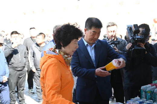 黄河岸边赏春色 云客小镇寻乡韵 白银区举行乡村振兴重点项目观摩暨健康行活动