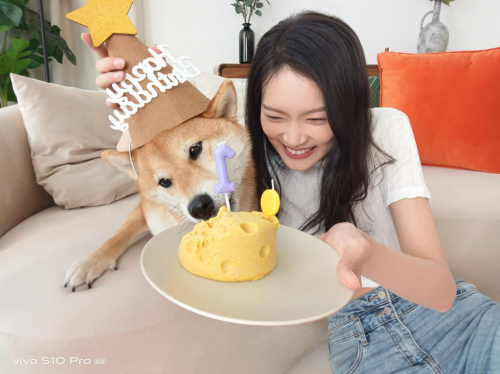 点击查看原始图片