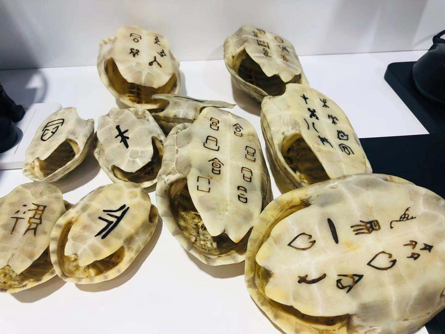 名片全能王：不明觉厉！甲骨文居然也能识别！