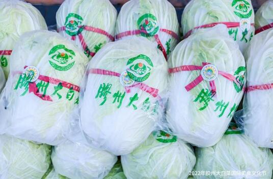 唱响乡村振兴“重头戏” 2022年胶州大白菜国际美食文化节启动