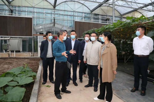 一湾一水，共谱东西部协作新篇章