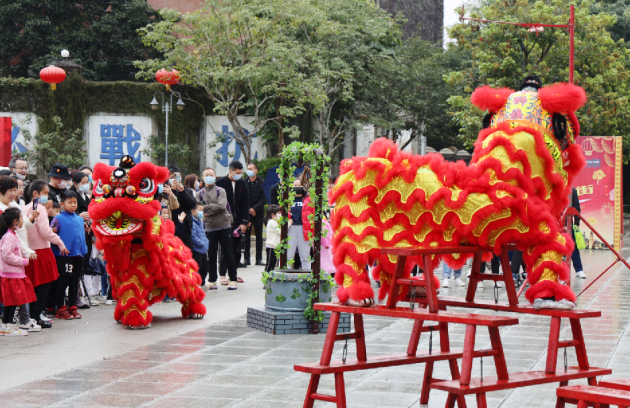 大年初一 留琼过年 市民游客椰城感受浓浓年味