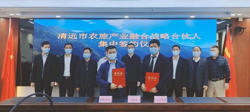 天农集团再传捷报，树清远鸡“名牌”为农旅产业升级持续赋能
