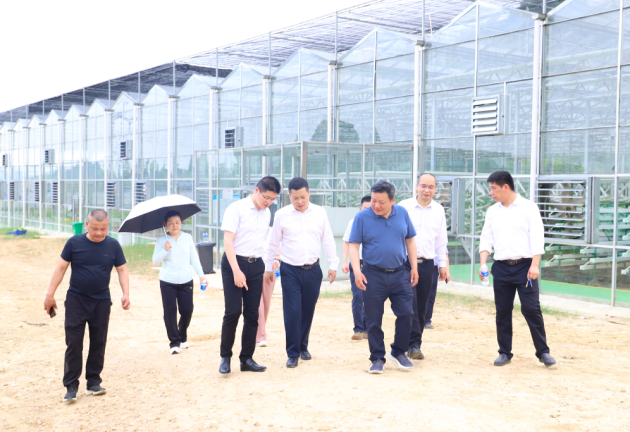 湖南美食流迎来市政协一行调研岳麓区乡村振兴示范创建工作