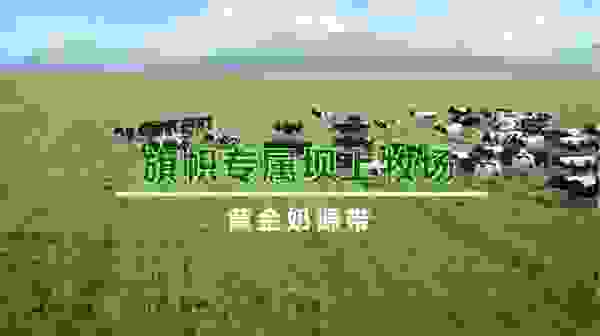 旗帜奶粉坚守品质信条，推动行业健康发展