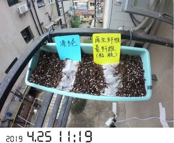 你知道吗？一片小小湿巾也和环保有很大关系！这要从赛得利无塑湿巾说起……