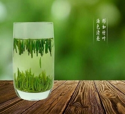 茶道文化与竹叶青的论茶品茶之道