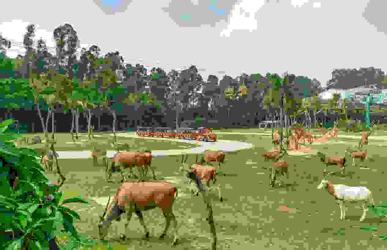 0e466613c617f76ec41eb3066003e1a