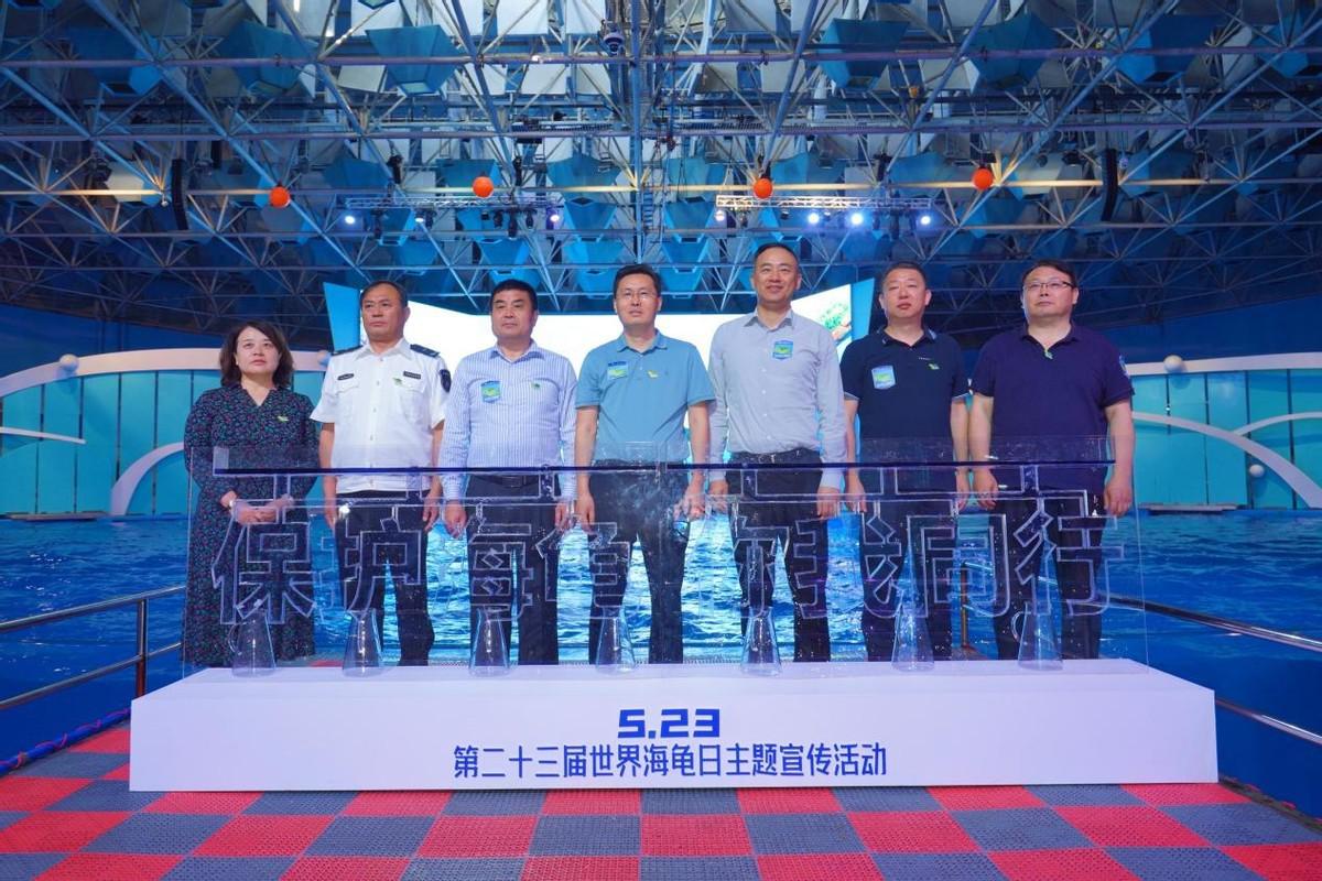 携手海合安集团见证最古老的海洋精灵重返大海，探索人与自然良性共生