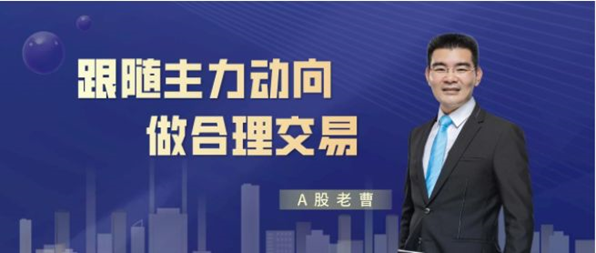 财经大咖曹茂桂：股市人生哲学之智商和情商