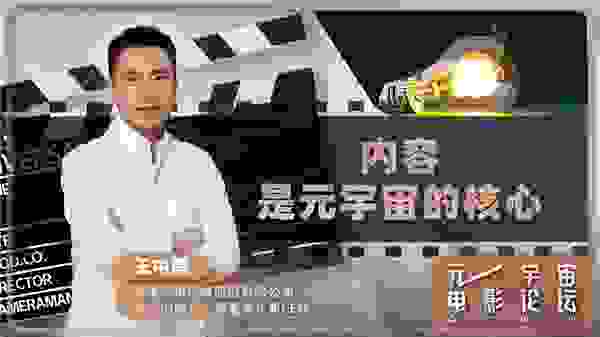 华谊兄弟王中磊北影节发声：内容是元宇宙的核心