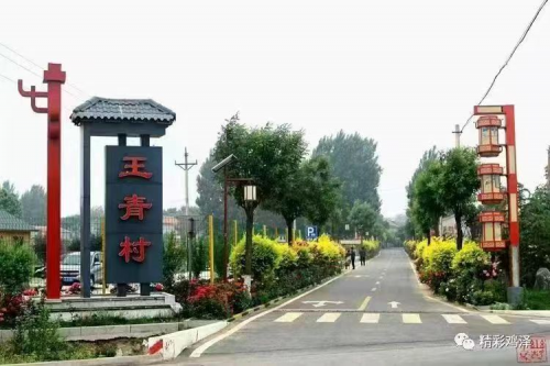 邯郸鸡泽县王青村：好支书带领全村走上致富路