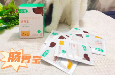 猫咪益生菌你Get了吗？我用小宠肠胃宝