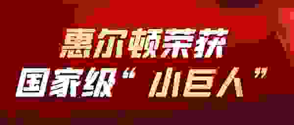 惠尔顿智能安全座椅！国家级“小巨人”！