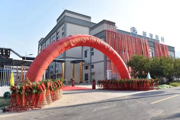 国内首个"蓝美1号"蓝莓花色苷工厂正式落地怀宁