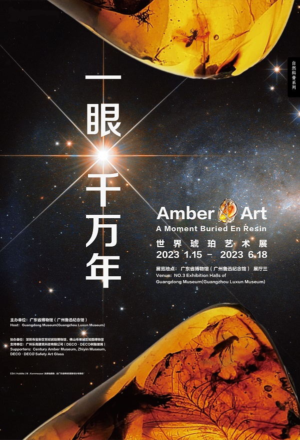 “一眼千万年--世界琥珀艺术展”开幕啦！让我们在艺术之城共襄琥珀盛宴~