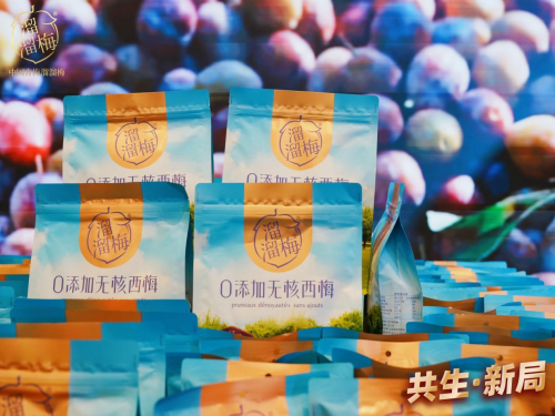 溜溜梅0添加无核西梅：吃出来的美味健康，yummy！