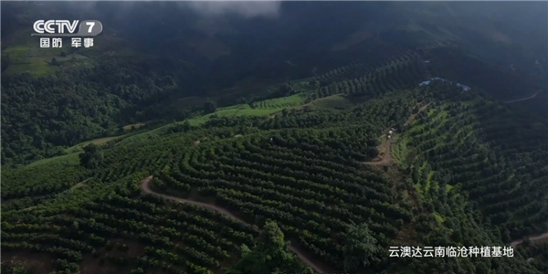 坚持必有果 用心做好仁 CCTV7品牌微纪录之“夏果妈妈”云澳达