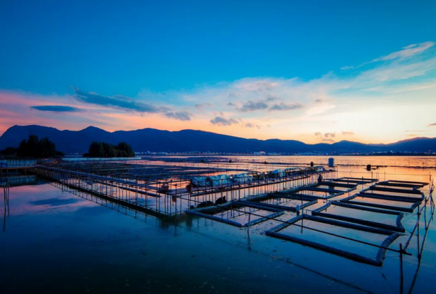 玉溪邦泰澄江·阳光湖岸 | 这个地方能“氧“你一辈子!