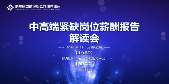 肥东县中小企业公共服务平台成功举办专精特新企业人才部署研究报告解读会