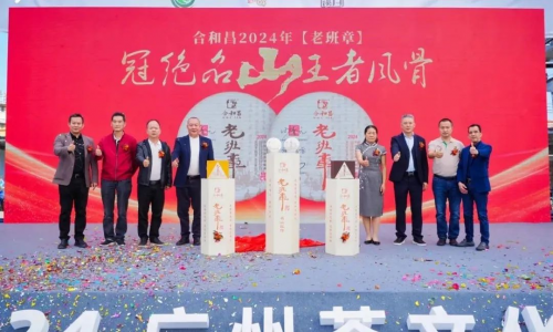 老班章代表作，合和昌2024老班章生熟普洱茶上市