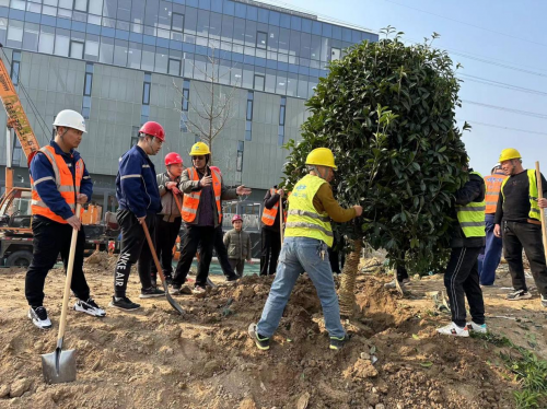 中国二冶中原公司：植树添新绿，共绘春时景