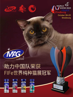 人用鱼油or宠物鱼油？猫狗更适合吃哪个？