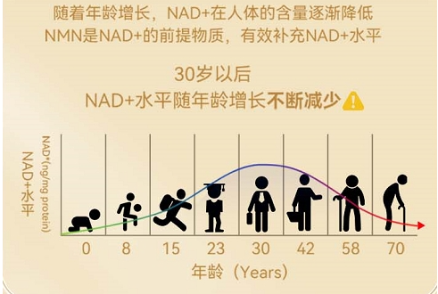 三井制药震撼业界：NAD+断崖式衰老克星，重塑生命活力