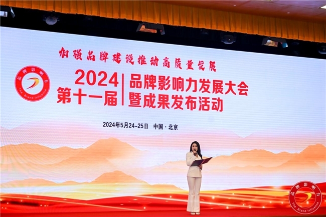 融辉集团受邀参加2024品牌影响力发展大会并一举斩获三项重磅大奖！