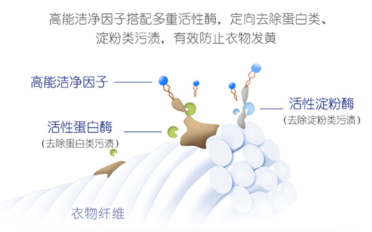 生物科技图.jpg