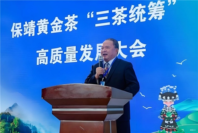 《时代传承》湘西茶脉：罗大友推进“三茶统筹”新程