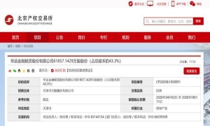 华运金租43.3%股份挂牌转让 参考价格“面议”